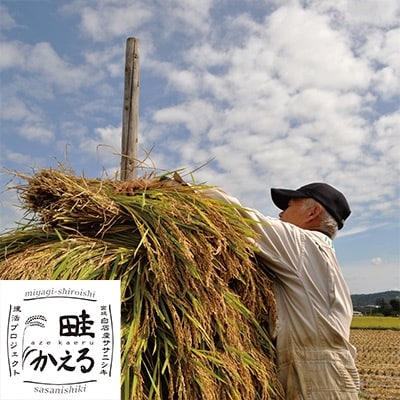 【令和元年産】白石産ササニシキ自然乾燥米玄米10kg[4206-055]