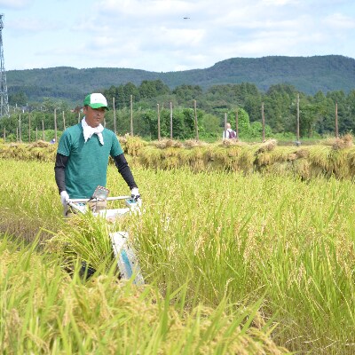 令和3年産　宮城県白石産　ササニシキ　天日干し玄米10kg