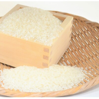 令和4年産　コシヒカリ　精米　5kg　