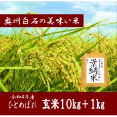 令和4年産 ひとめぼれ 玄米10kg +1kg増量 玄米合計11kg