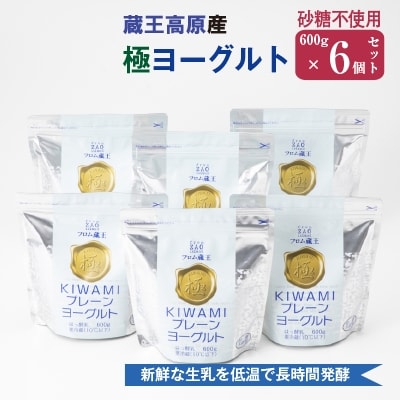 フロム蔵王　極プレーンヨーグルトセット(600g×6個)