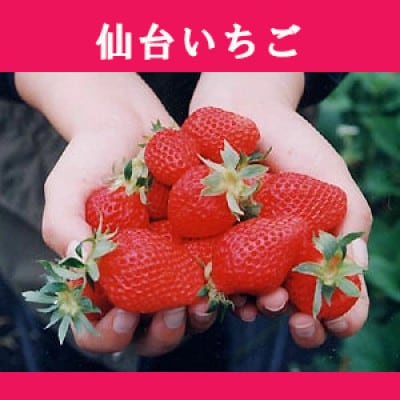 【業務用アイス】フロム蔵王 仙台いちご 4000ml