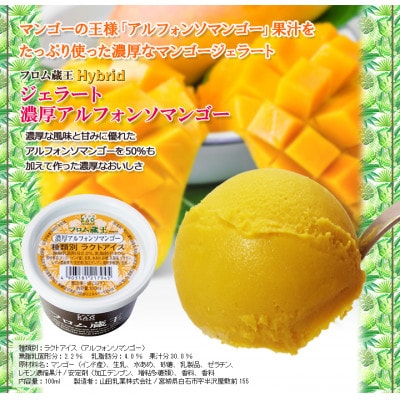 【夏季限定】フロム蔵王　チョコレート&マシュマロとアルフォンソマンゴーセット(4種類×6個)24個入