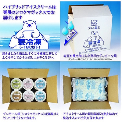 【2ヵ月毎定期便】フロム蔵王 HybridスーパーマルチアイスBOX24個(6種×各4個)全2回