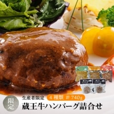 蔵王牛ハンバーグ詰合せ(4種)740g[4206-031] | ふるさと納税のお礼品