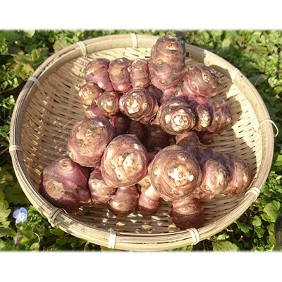 パウダー食品3個セット(えごま・紅菊芋・マコモダケ)