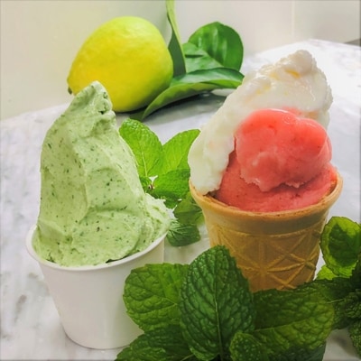 蔵王のふもとで育った果物、野菜で作りました!ジェラート&シャーベット各90ml　計12個