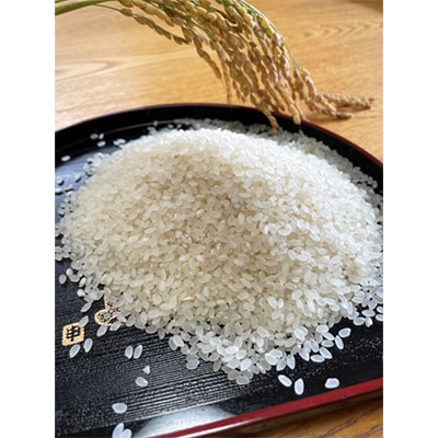 令和6年産　ひとめぼれ　精米　9Kg