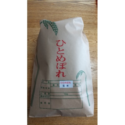 令和6年産　ひとめぼれ　玄米　10Kg