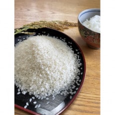 【令和4年産】宮城県白石産 ササニシキ 精米 9kg