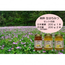 宮城県産 日本蜜蜂200g&times;1個 百花蜜(西洋蜜蜂)200g&times;2個 合計3個