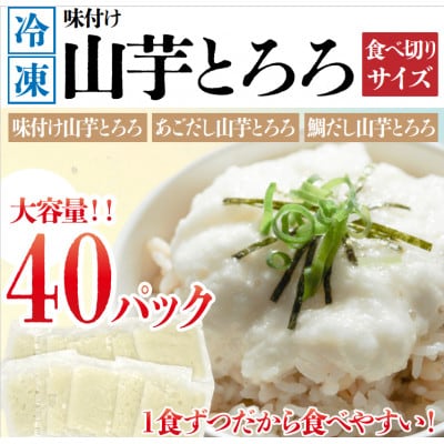 【ふるさと納税】(株)カキヤの山芋とろろセット　宮城県内自社工場仕上げ