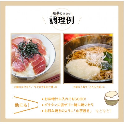 【ふるさと納税】(株)カキヤの山芋とろろセット　宮城県内自社工場仕上げ