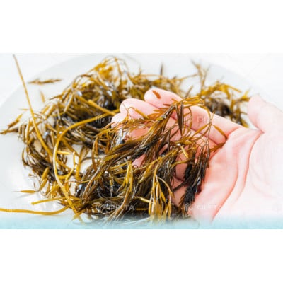 (株)カキヤの海苔漁師が贈る 海苔佃煮4種16本セット　宮城県内自社工場仕上げ　
