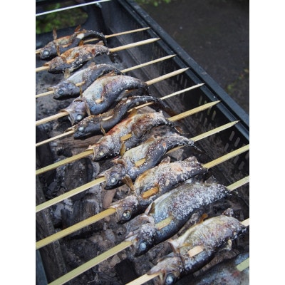 釣り&釣った魚をその場で食べる体験チケット 釣り放題75分/大人1名様分