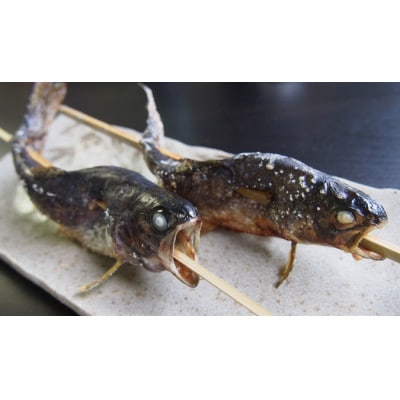 釣った魚食べ放題チケット