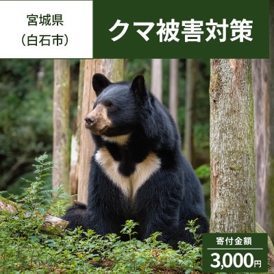 【返礼品なし】クマ被害対策(白石市)寄附額3,000コース