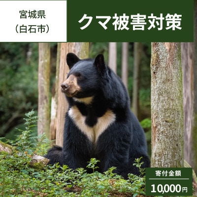 【返礼品なし】クマ被害対策(白石市)寄附額10,000コース