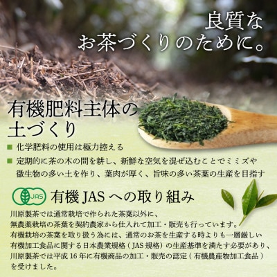 伊勢茶一番茶ペットボトル500ml×24本(KH-01)