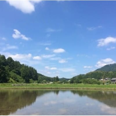 三重県多気町産 お米「二百年米」コシヒカリ 計6合(3合×2筒)