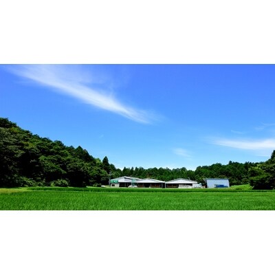 松阪牛しゃぶしゃぶ(ロース・肩ロース)400g(多気町)