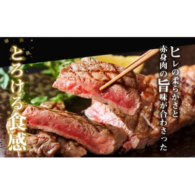 松阪牛カイノミステーキ