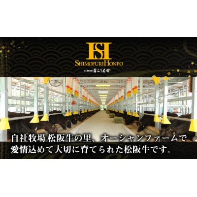 松阪牛カイノミステーキ