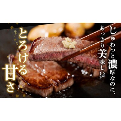 松阪牛赤身ステーキ