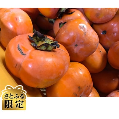さとふる限定　数量限定《 訳あり 》10kg 次郎柿たねなし柿  家庭用