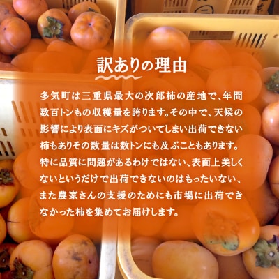 さとふる限定　数量限定《 訳あり 》5kg 次郎柿たねなし柿  家庭用
