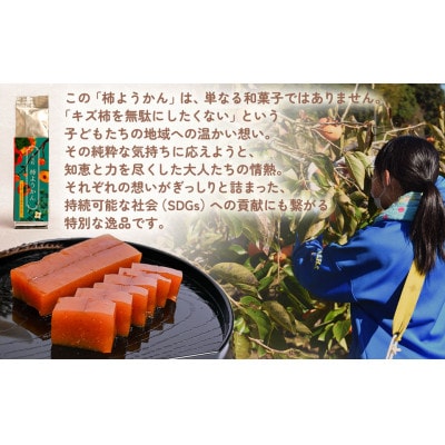 キズ柿をつかった柿ようかん 5個入り GF-19