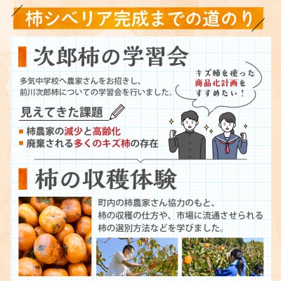 キズ柿をつかった柿シベリア 5個入り GF-13