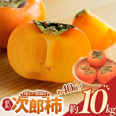 [令和8年度先行予約]優しい農園の次郎柿　10kg　家庭用