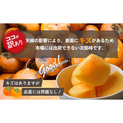 [令和8年度先行予約]優しい農園の次郎柿　10kg　家庭用
