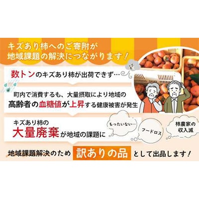 [令和8年度先行予約]優しい農園の次郎柿　10kg　家庭用