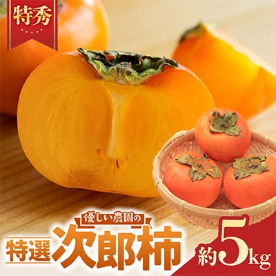 【令和8年先行予約】優しい農園　次郎柿　特選玉　5kg　20数玉目安　数量限定