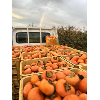 【令和8年先行予約】優しい農園　次郎柿　特選玉　5kg　20数玉目安　数量限定