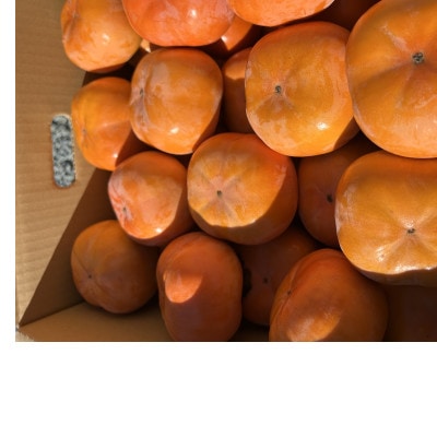 【令和8年先行予約】優しい農園　次郎柿　特選玉　5kg　20数玉目安　数量限定