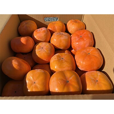 【令和8年先行予約】優しい農園　次郎柿　特選玉　5kg　20数玉目安　数量限定