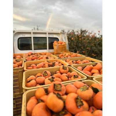 【令和8年先行予約】優しい農園　フードロス次郎柿　5kg　20数個～30数個目安　大きな傷等　訳あり