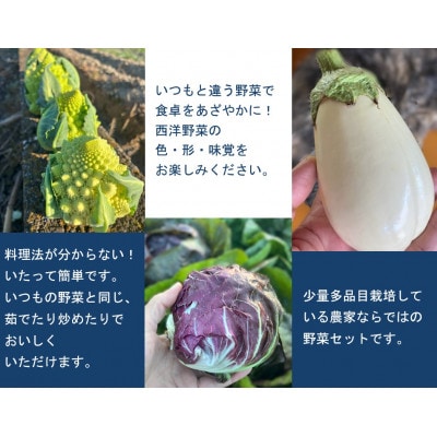 季節の西洋野菜セット