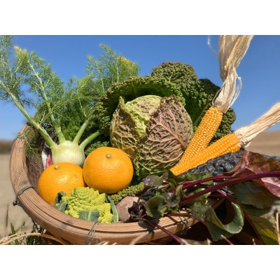 季節の西洋野菜セット