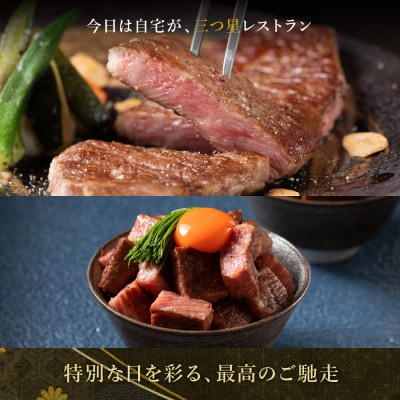 【毎月定期便】極上松阪牛 堪能コース(定期便5ヵ月)全5回