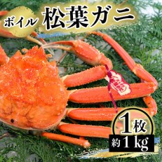 【これぞ!松葉がに!】『年明配送』 タグ付き ボイル・松葉がに 1枚 約1kg