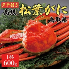 【2024年内発送】 特撰 松葉がに(茹)【タグ付き】600g大サイズ 1杯 ※足の欠けなし 662