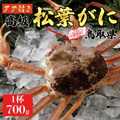 【2024年内発送】 特撰 松葉がに(なま)【タグ付き】700g大サイズ1杯 ※足の欠けなし　664