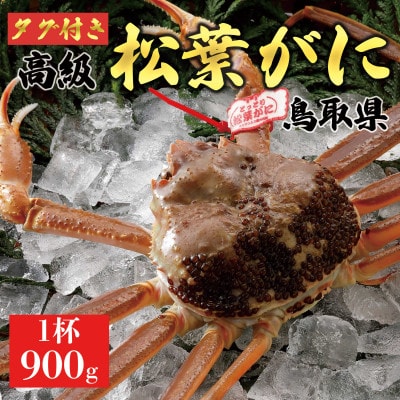 【2025年発送】  特撰 松葉がに(なま)【ブランドタグ付き】900g大サイズ ギフトにも 669