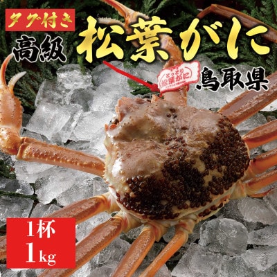 【2025年11月発送】特撰 松葉がに(生)【タグ付き】1kg1杯 N1_I