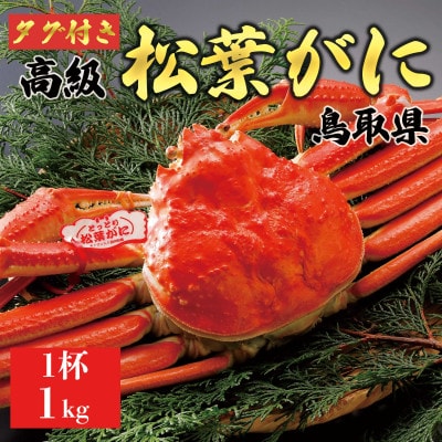 【2025年11月発送】特撰 松葉がに(茹)【タグ付き】1kg1杯 ※足の欠けなし N1_Y