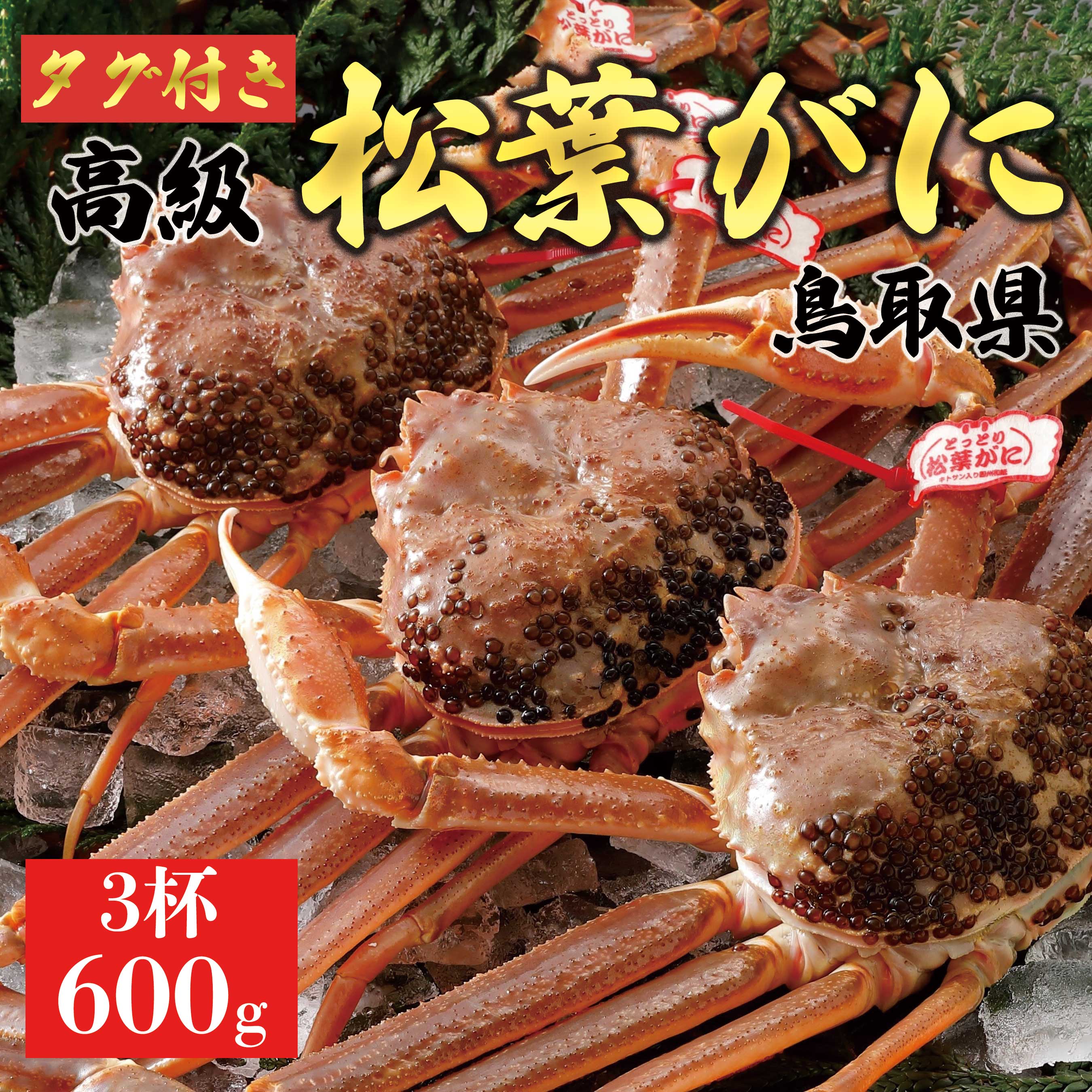 【2025年12月～2026年1月発送】特撰 松葉がに(生)【タグ付き】600g3杯 N66_I